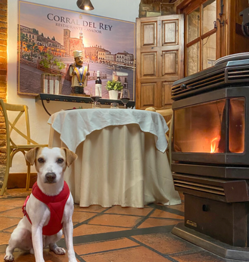 restaurante petfriendly 3