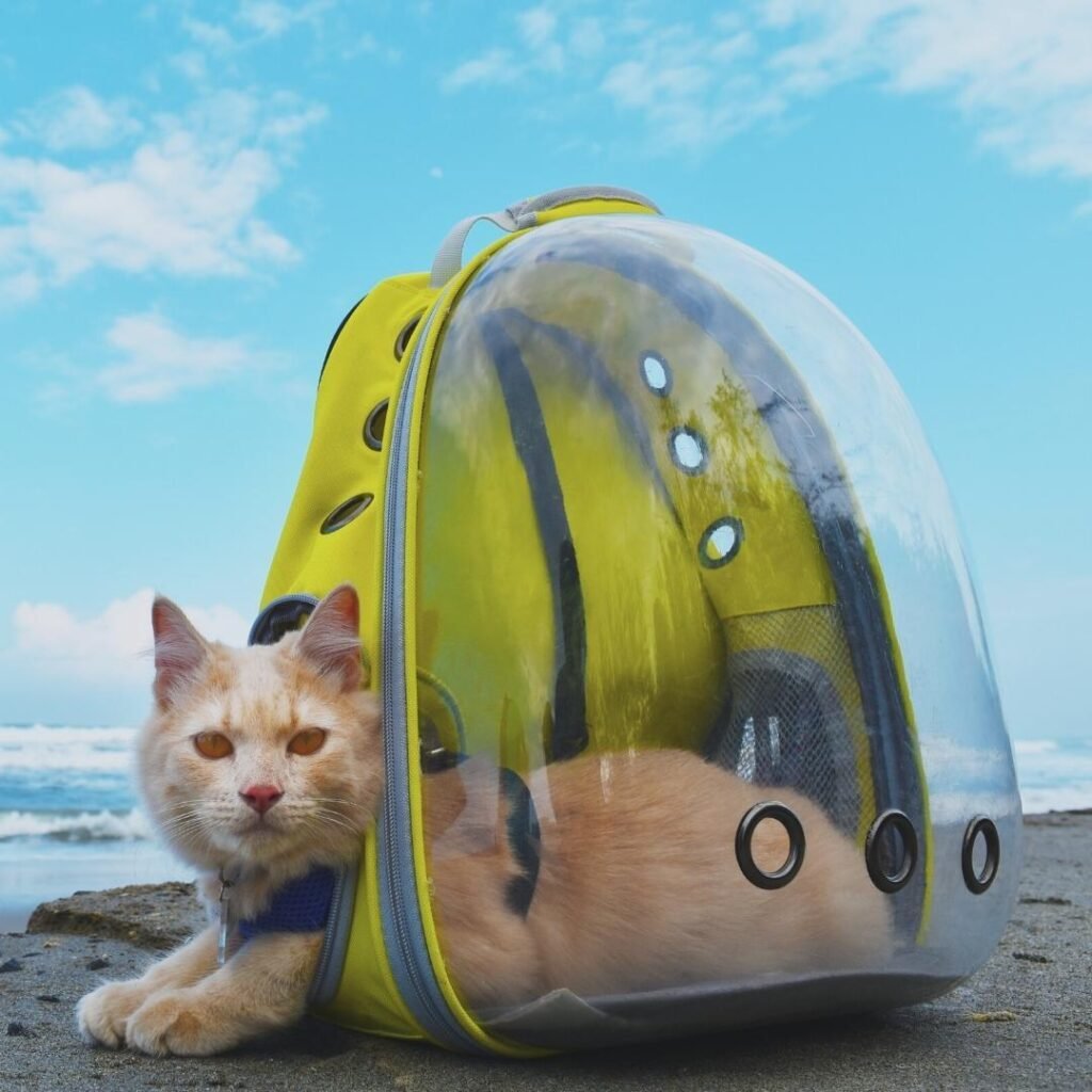 Mochila para gatos con burbuja